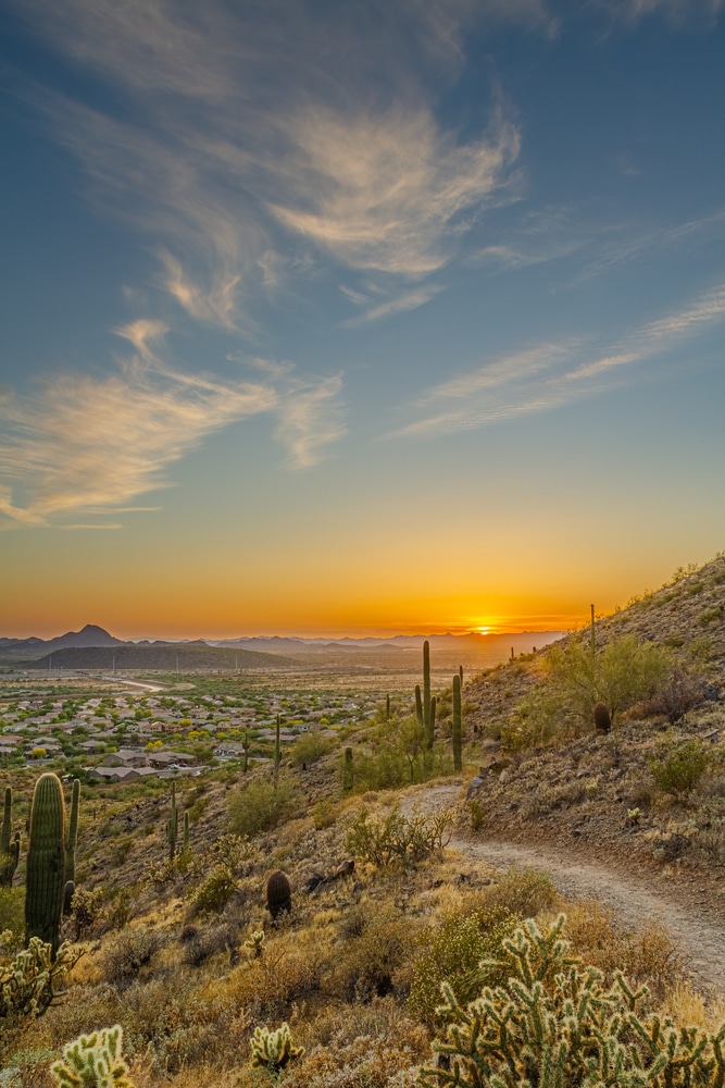 View of Arizona desert at sunset.